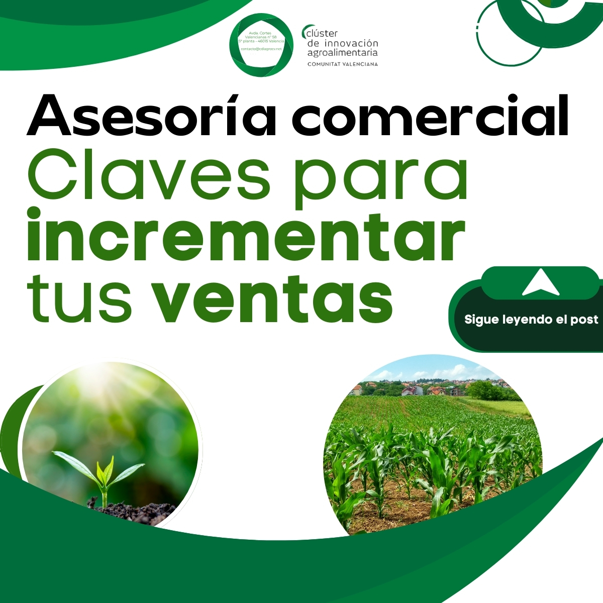 ¿Quieres impulsar tu negocio agroalimentario? 🚀 
Desde el Clúster te asesoramos para mejorar tus ventas y procesos. Descubre oportunidades, capta leads y diseña estrategias innovadoras. 

¡Haz crecer tu empresa!

#InnovaciónAgroalimentaria #VentasCV