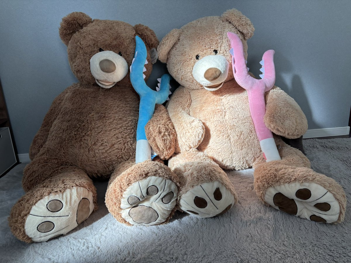 無事に引っ越し終わってました😊
くま子とあべは引越し屋さんの段ボールハンガーケースにぴったりハマって新居まで運ばれました🧸🧸
さすまたがピッタリサイズでずっとこのまま座らせてます🤭

#コストコ #くま