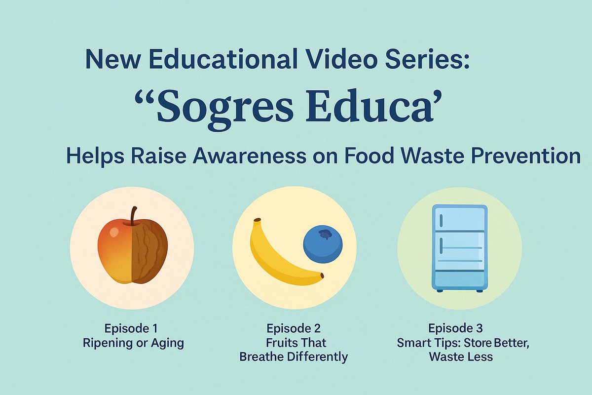 ToNoWaste (@tonowaste) on Twitter photo 🚨 New video series alert!
“<a href="/Sogres_UJI/">SoGReS-MF Research Group</a> Educa” is here to help you understand your food — and reduce waste sustainably.
🍎Episode 1: Ripening vs. Aging
🥭Episode 2: Fruits That Breathe Differently?
🍉Episode 3: Smart Tips: Store Better, Waste Less
👉tonowaste.eu/2025/05/06/sog… 🚨 New video series alert!
“<a href="/Sogres_UJI/">SoGReS-MF Research Group</a> Educa” is here to help you understand your food — and reduce waste sustainably.
🍎Episode 1: Ripening vs. Aging
🥭Episode 2: Fruits That Breathe Differently?
🍉Episode 3: Smart Tips: Store Better, Waste Less
👉tonowaste.eu/2025/05/06/sog…