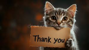 RbbProject's tweet photo. Big shoutout to all the people who’ve adopted from Bolton shelters this year! You’ve changed lives, not just for pets, but your own too
#AdoptionLove #BoltonCommunity #RescuePets https://t.co/TYALZ8s27f