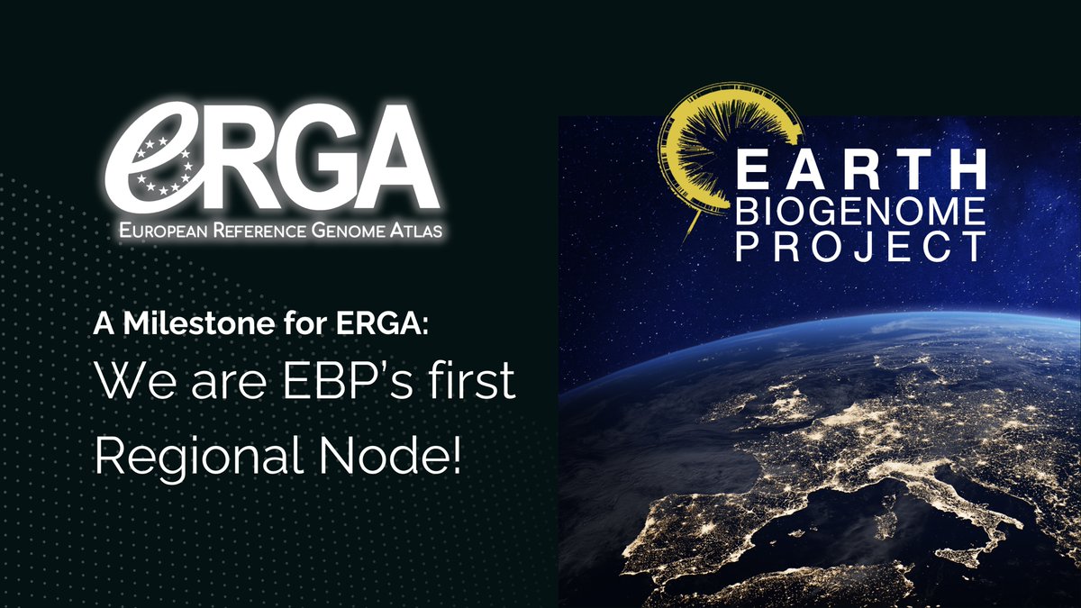 European Reference Genome Atlas (@erga_biodiv) on Twitter photo 🌍 Big news: #ERGA is now the first official Regional Node of the Earth BioGenome Project <a href="/EBPgenome/">Earth BioGenome Project</a>!
This milestone deepens our collaboration and strengthens the global #biodiversity genomics community in #Europe and beyond!
#genomes for #biodiversity 🌍 Big news: #ERGA is now the first official Regional Node of the Earth BioGenome Project <a href="/EBPgenome/">Earth BioGenome Project</a>!
This milestone deepens our collaboration and strengthens the global #biodiversity genomics community in #Europe and beyond!
#genomes for #biodiversity