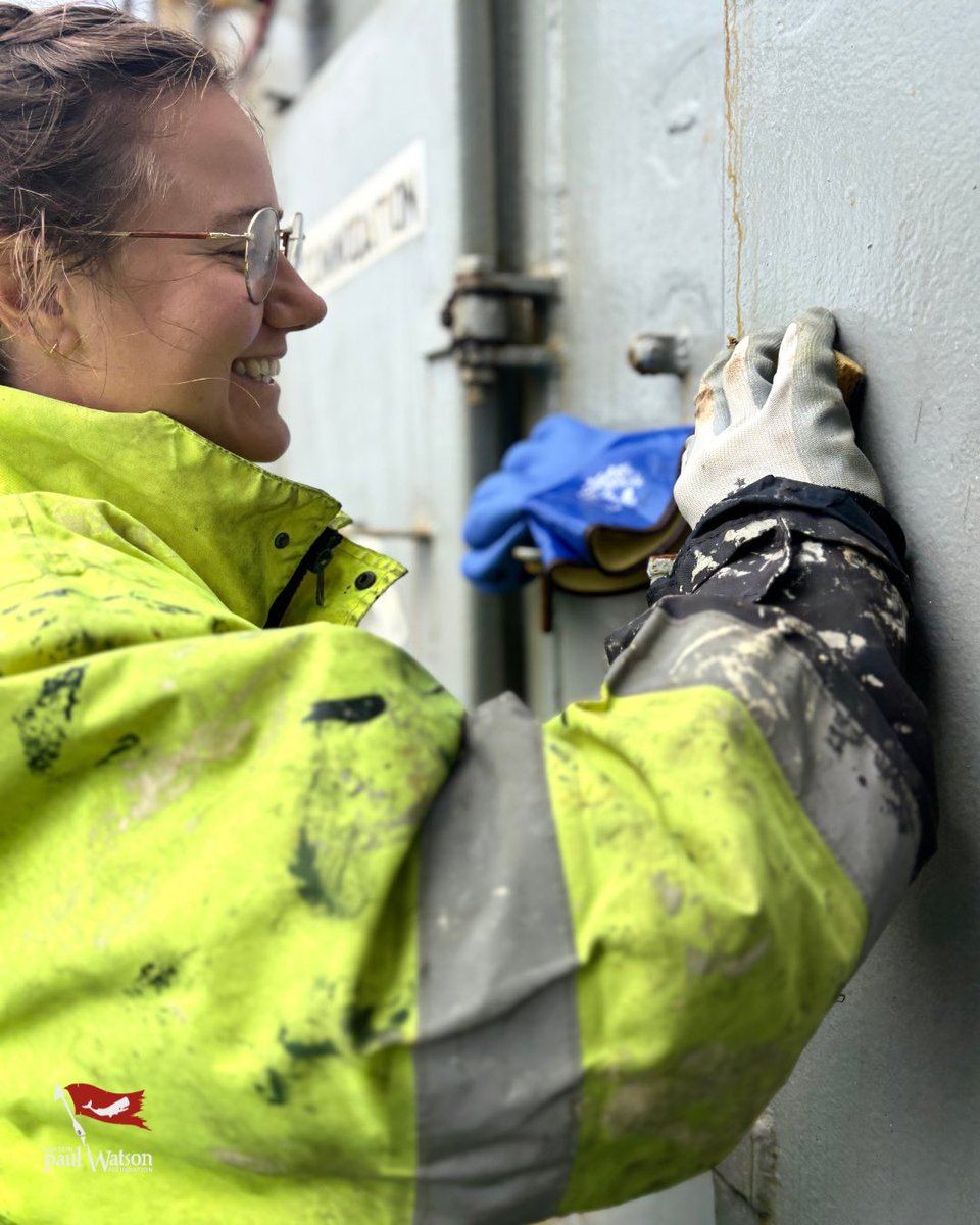 ⏰ Ship life is 24/7. There are no weekends. No days off. Just the mission.

Out here, the crew works around the clock. Rust is one of our toughest enemies—corroding everything it touches. So the crew fights back daily, scraping, cleaning, painting, and repairing.
