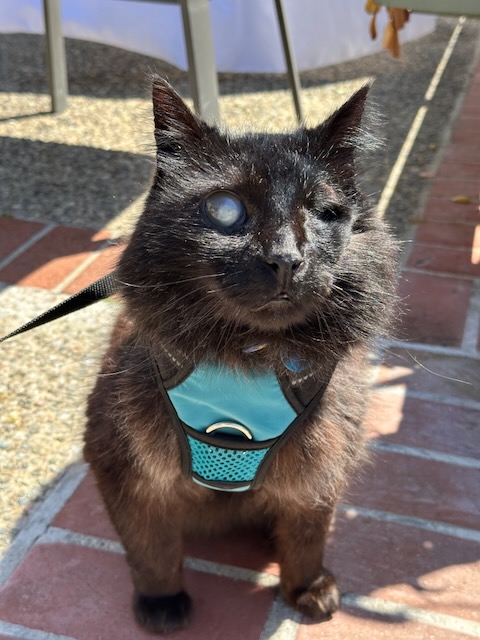 Renee' Martin tweet media