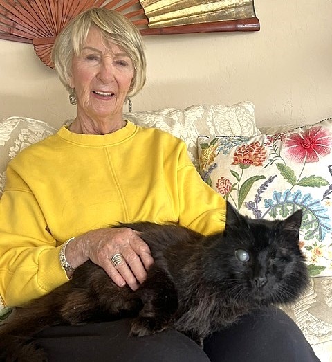 🎉🥳🎊Sweet 10YO Senior Black Kitty RIVER Has Been Adopted!🎉🥳🎊
▶gocatrescue.org/gocr_cat/river/
<a href="/CatsOldies/">Golden Oldies Cat Rescue</a> Golden Oldies Cat Rescue
#RehomeHour #US #CATS