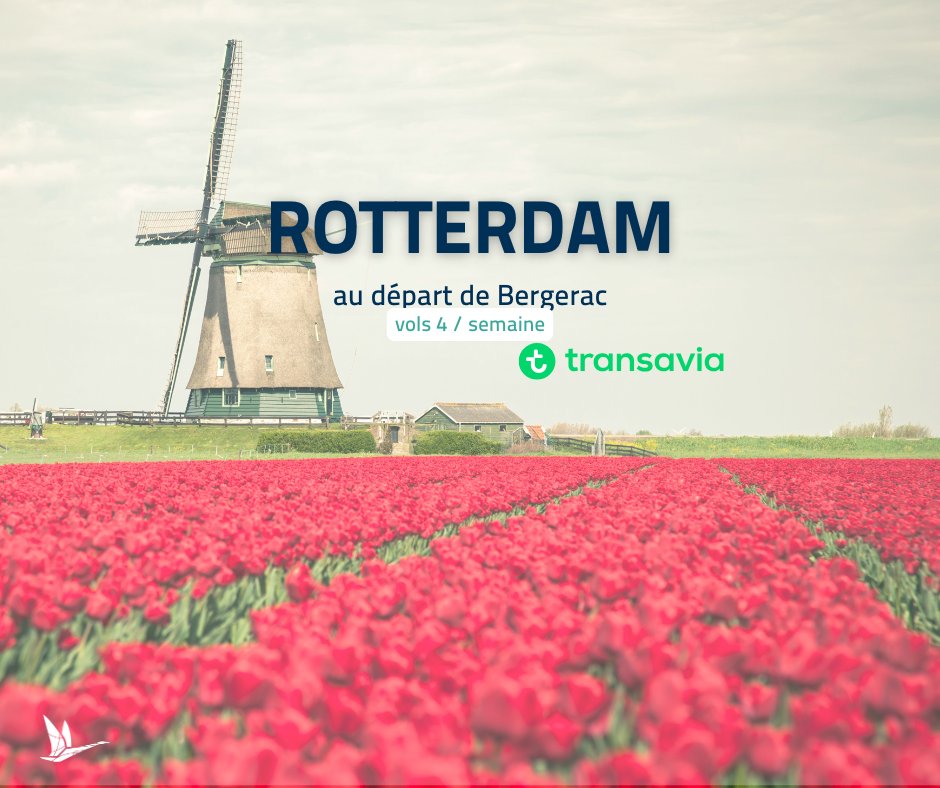 Rotterdam – Bergerac
Vols directs les lundis, mercredis, vendredis et dimanches entre Rotterdam et Bergerac.

Réservez votre voyage sur bergerac.aeroport.fr

#volsbergerac #rotterdam #volsdirects