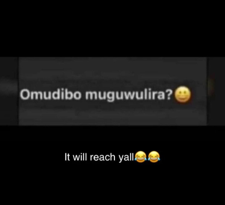Someone  translate this😂😂😂😂