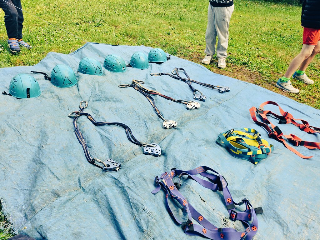 PatriMouHBST tweet media