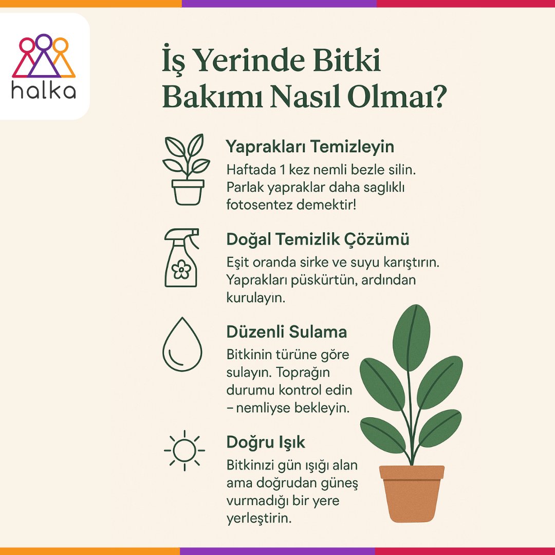 Ofis bitkileri, havayı temizler ve çalışma ortamına enerji katar. Peki onlara nasıl bakalım?
- Haftada 1 kez nemli bezle tozlarını silin. 
-Bitkinin türüne göre sulayın. 
-Bitkinizi gün ışığı alan, ama doğrudan güneş vurmayan bir yere yerleştirin.
-Haftada bir Yaprakları çevirin