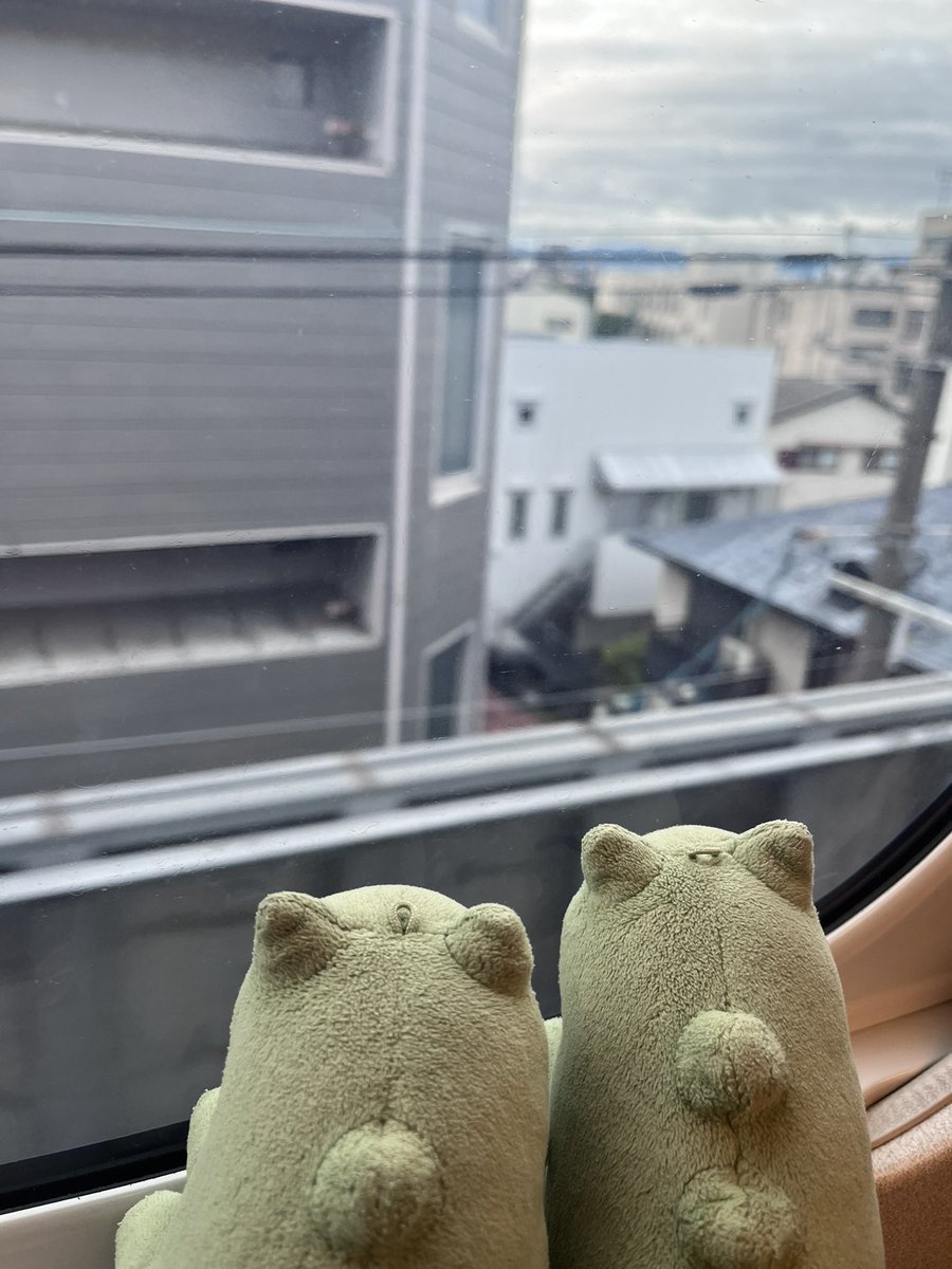 tmc_migawaritan's tweet photo. ใใใใฟใกใ
ใใใใใใใ ใใณใฎ ใใใใฏ
ใพใใใจใง๏ผ
#pokemonsubstitute https://t.co/BhMn294Giv