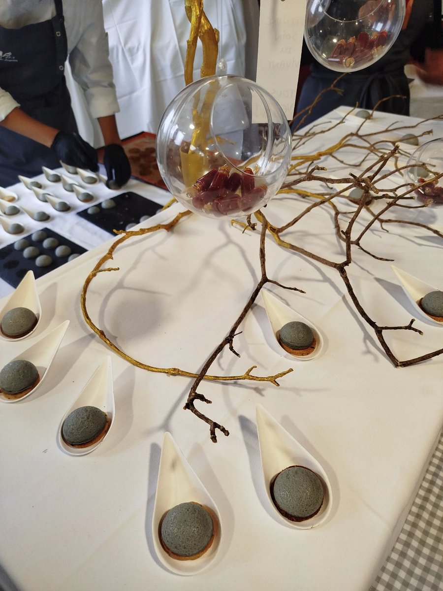 Magnifique restitution de fin de projet Option Design culinaire au lycée des Métiers de l'hôtellerie et de la restauration innovante de Largentière. Projet soutenu par la Région AURA et l'E.N. En  collaboration avec T.Haton, designeuse culinaire.