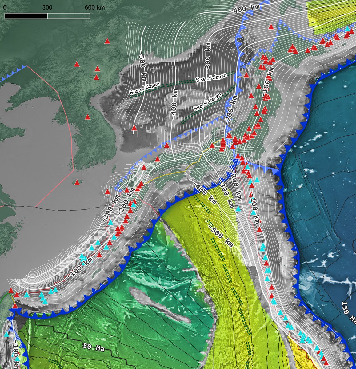 F.IKGM🌏イケガミ・ジオリサーチ tweet media