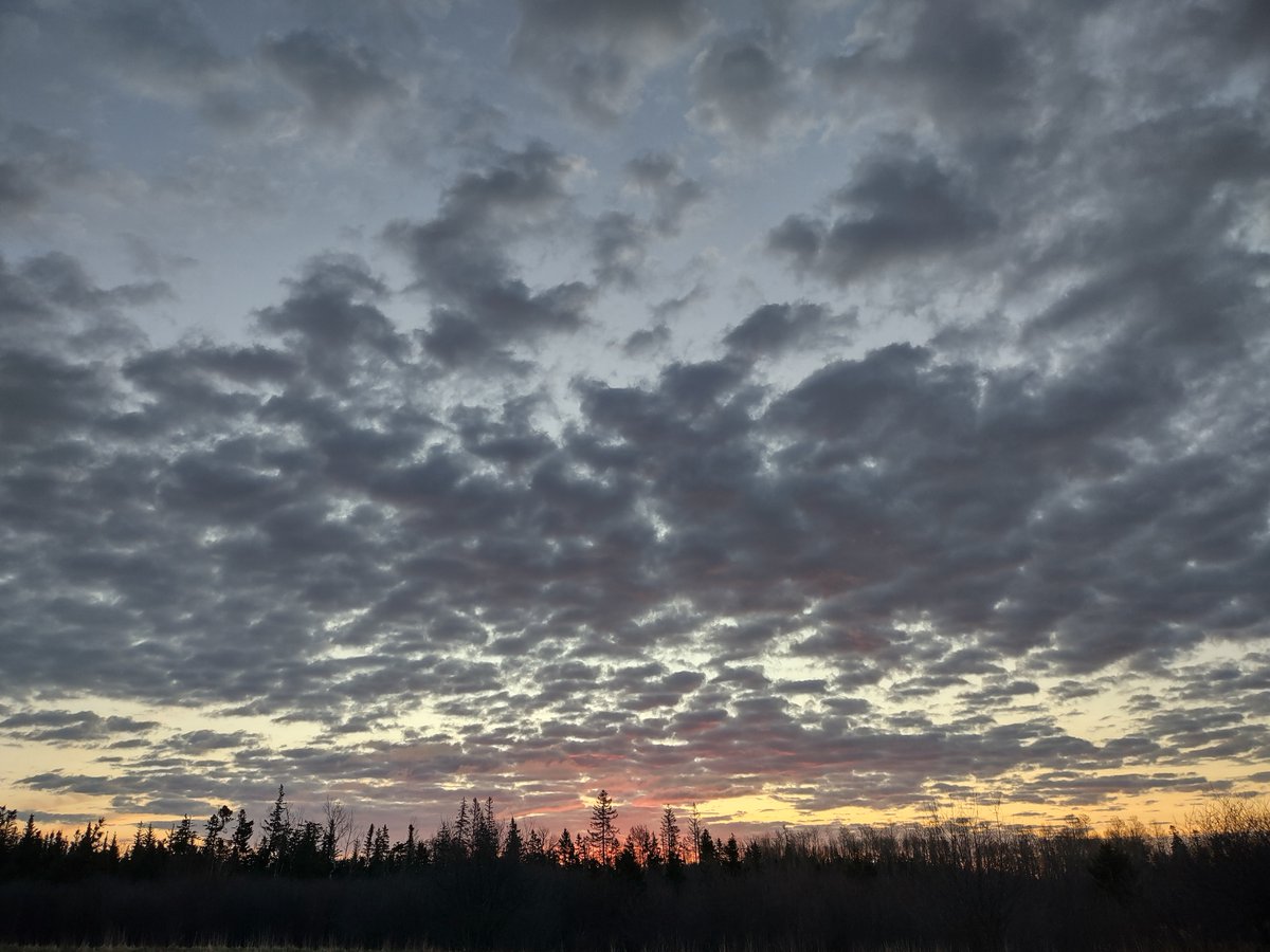 'Morning All. Sunrise on the farm.