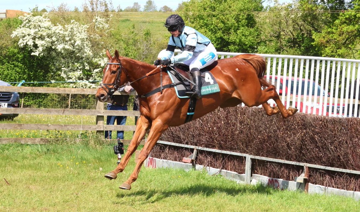 Tom Ellis Racing (@tomellisracing) on Twitter photo It was a fun Bank Holiday Monday <a href="/MollingtonRaces/">Mollington Races</a> yesterday 🙌
<a href="/MollyLegg4/">Molly Legg</a> rode Young Rich to another victory! 🥇
That triumph means that <a href="/ginaandrews19/">Gina</a> is now on 36 winners for the season & just 2 wins off top spot in the trainers title 🤩
Great job team 👏 It was a fun Bank Holiday Monday <a href="/MollingtonRaces/">Mollington Races</a> yesterday 🙌
<a href="/MollyLegg4/">Molly Legg</a> rode Young Rich to another victory! 🥇
That triumph means that <a href="/ginaandrews19/">Gina</a> is now on 36 winners for the season & just 2 wins off top spot in the trainers title 🤩
Great job team 👏