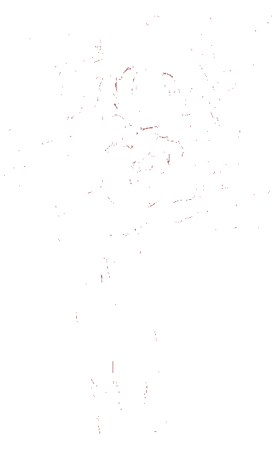 なんかゴールデンなやつ…って思ってたのにチアになってた 