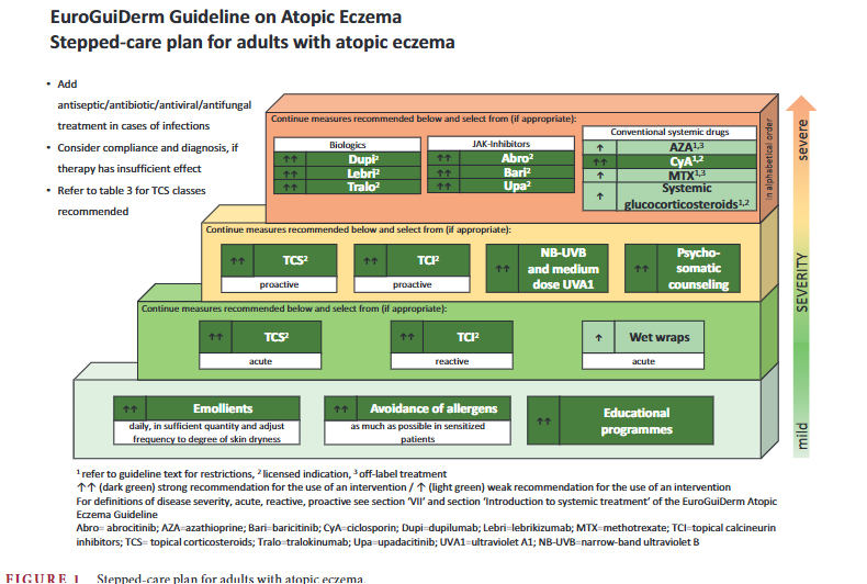 Paediatric & Population-Based Dermatology tweet media