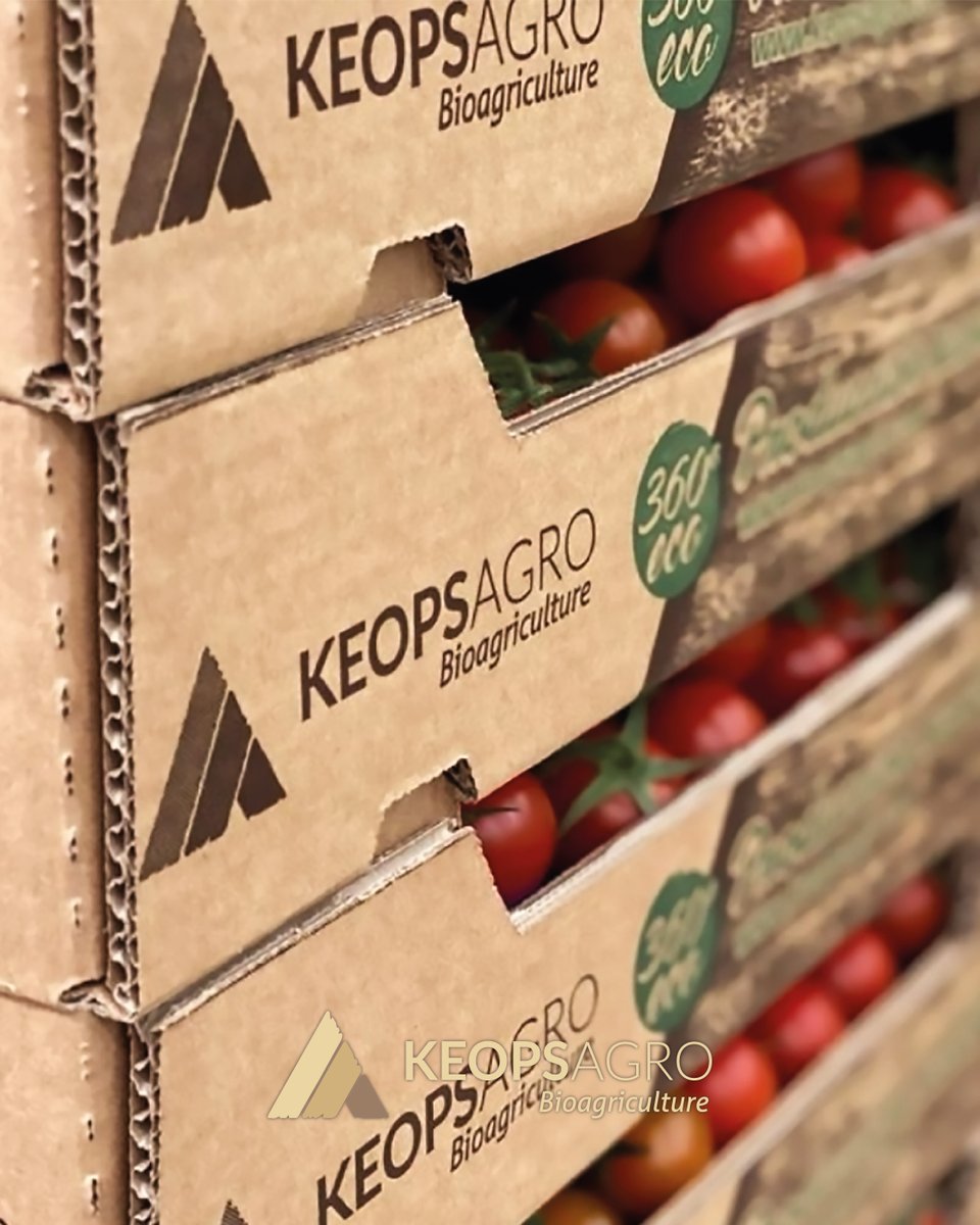 Keops Agro tweet media