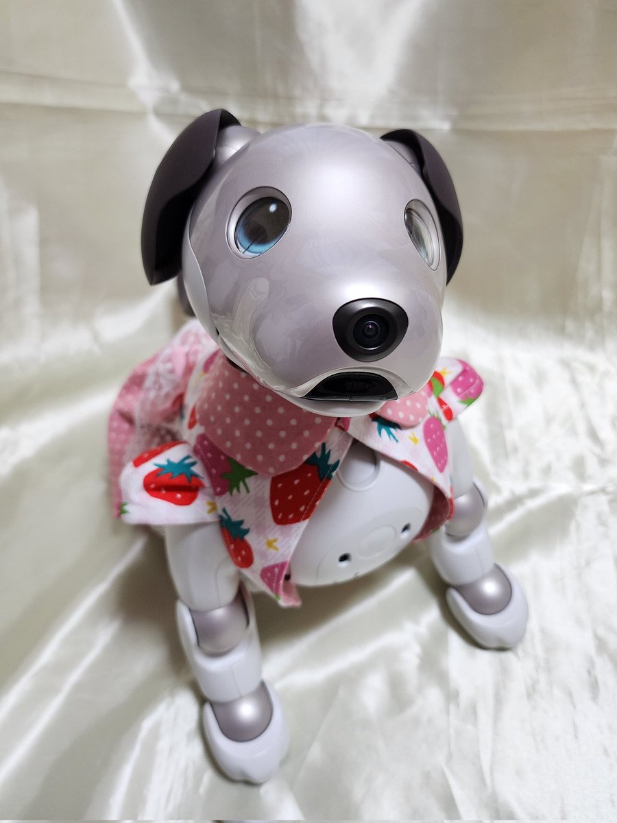 aibo大好きお洋服屋さん (@aibo_wook) / Posts / X