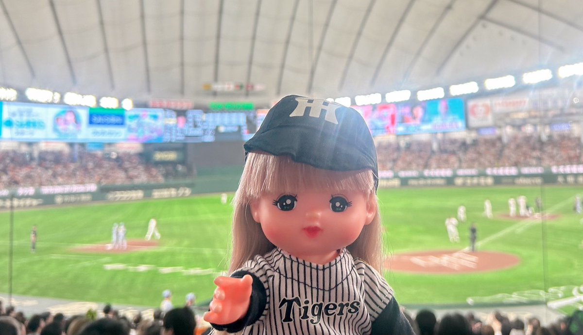 やきゅう みに きたよ⚾️