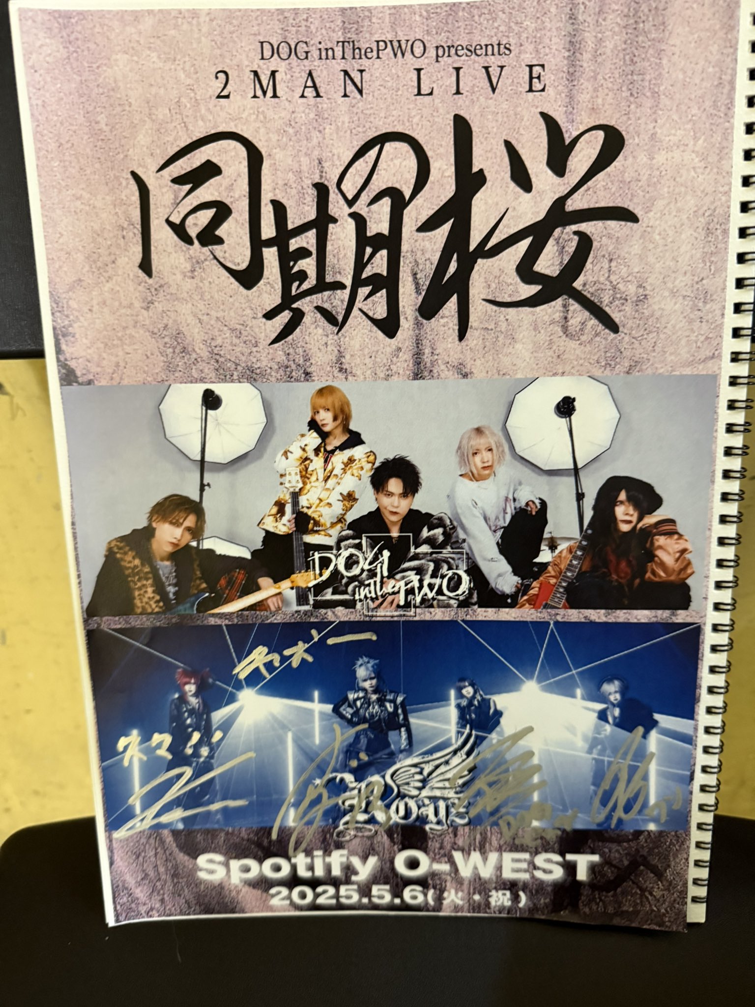 Royz (@Royz_official) / X