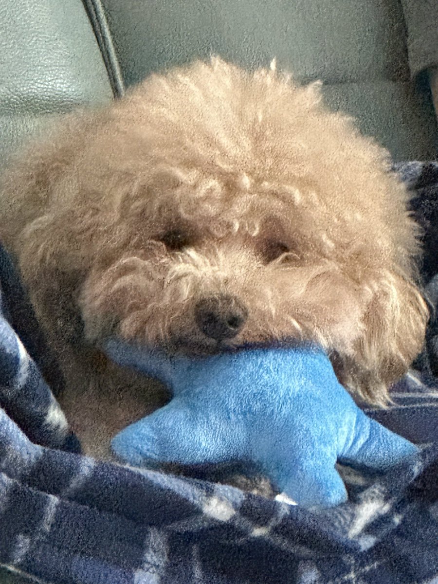 선물이 마음에 드는 머털도사씨