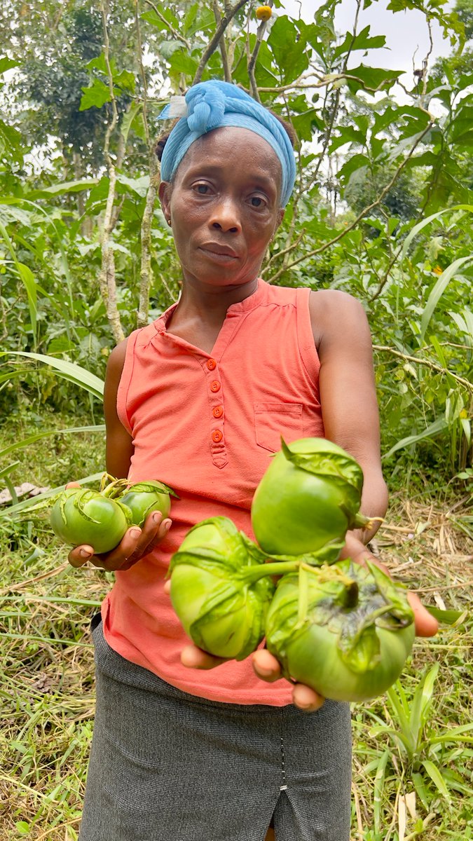 WFP Cameroon tweet media