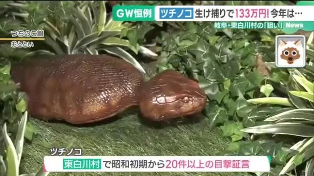 ライブドアニュース on X: 