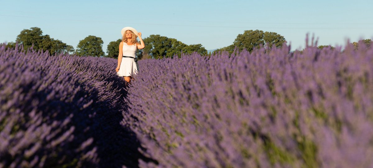 Un secret bien gardé au pied du Ventoux: Montbrun-les-Bains en Drôme provençale, le plus secret des 6 plus beaux villages de France que compte ma #Drôme. En juin, le plateau d’Albion ressemblera à ça 💜 Je recommande le village des lavandes à Montbrun, super gîtes Léo Lagrange !
