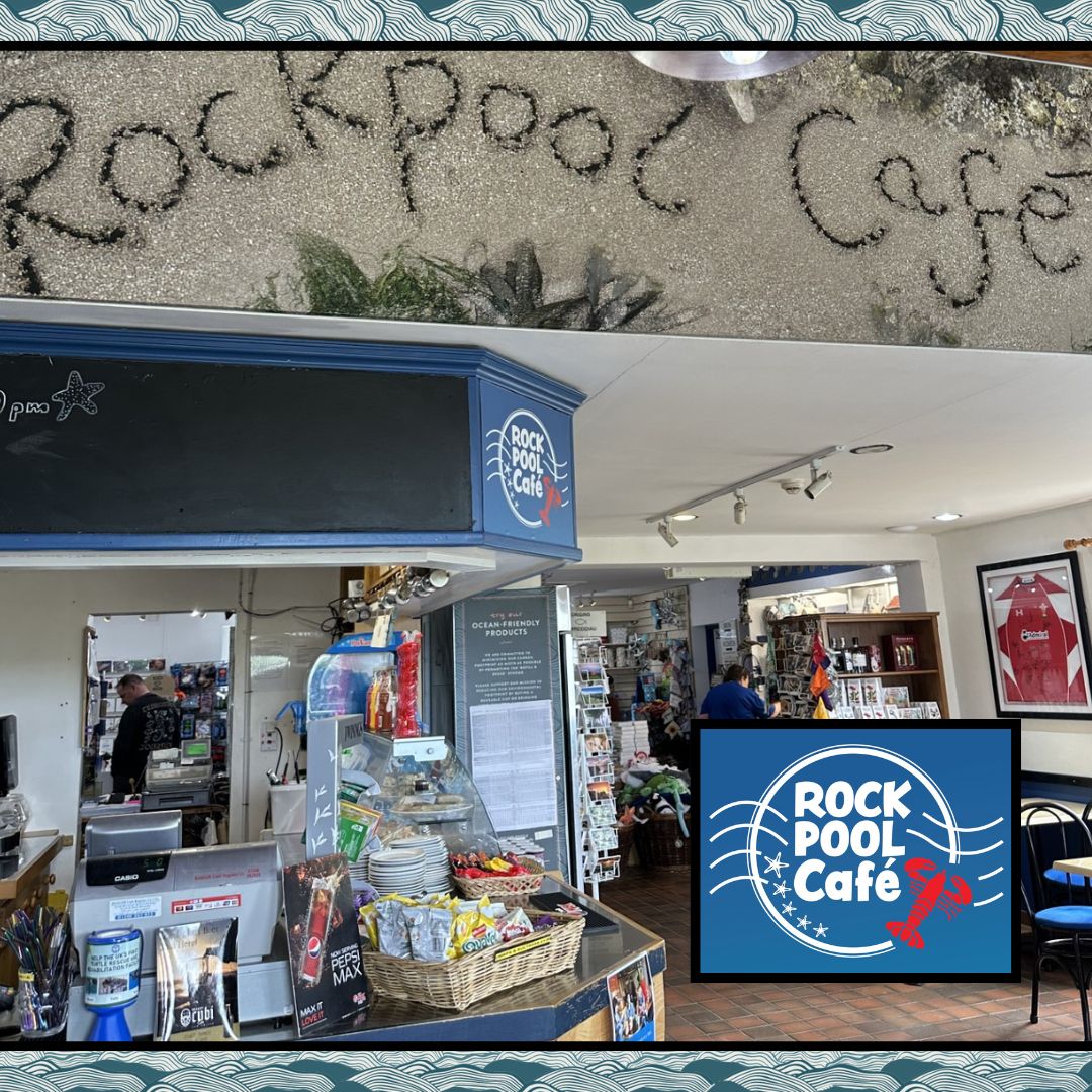 Anglesey Sea Zoo ๐๐๐ฆ๐๐ฆ๐ (@angleseyseazoo) on Twitter photo Are you looking for part-time to full-time work for the summer? Join our friendly Cafรฉ team at Anglesey Sea Zoo. Due to the location of the zoo on Anglesey, this role is only suitable to drivers or those with reliable lifts. Contact post@angleseyseazoo.co.uk today. Are you looking for part-time to full-time work for the summer? Join our friendly Cafรฉ team at Anglesey Sea Zoo. Due to the location of the zoo on Anglesey, this role is only suitable to drivers or those with reliable lifts. Contact post@angleseyseazoo.co.uk today.