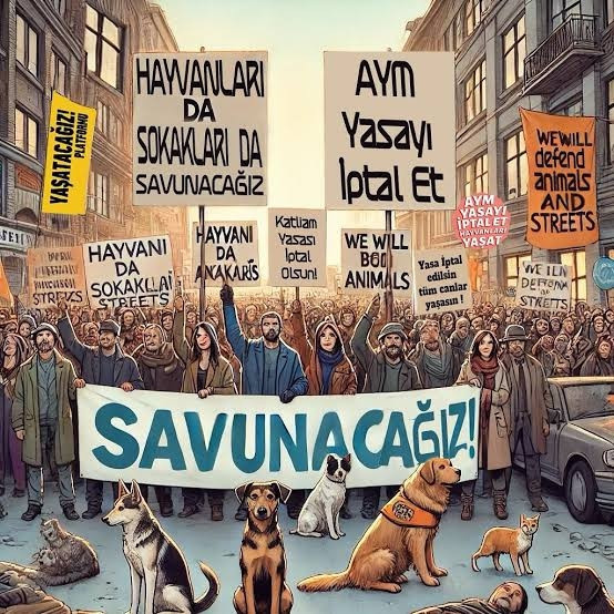 dostlarıma dokunmaaa
bırak toplamayı, hapsedip katletmeyi, 
tüylerine dokunmayı bile aklından  geçirme, burdayız
#yaşamhaktıraym 
#SokakHayvanlarıSahipsizDeğildir #AYMYasayıİptalEt