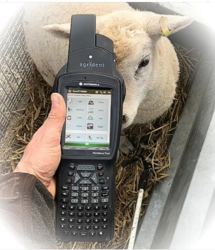 BorderSoftware's tweet image. Making the most of your stocks potential🐑🐑
#Bordersoftware #FarmIT3000