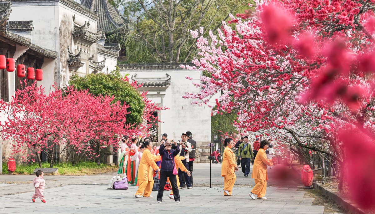 DiscoverAnhui's tweet photo. In Anhui’s Taohuaba🏞️, peach flower blossoms🍑 + Hui-style houses + crystal rivers = the ultimate spring vibe. A postcard scene you can walk into.
#HiAnhui #VisitAnhui #HuiStyle #SpringDream https://t.co/y7hG4L50uz