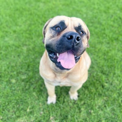 NobleBususu's tweet photo. #NewProfilePic https://t.co/sSVyyXj3VA