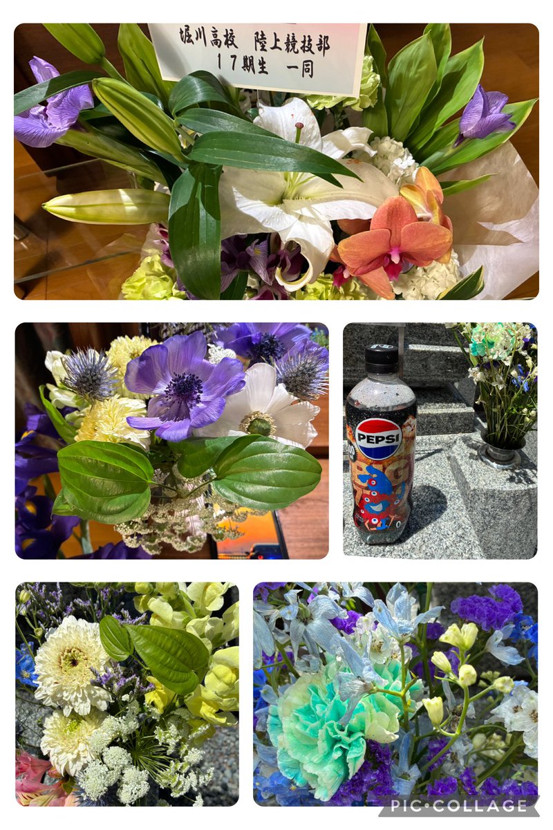 【雄也通信】
ゴールデンウィークはお花やお供えで賑やかになりました。お参りくださいました皆様、ありがとうございました。喜んでいると思います。