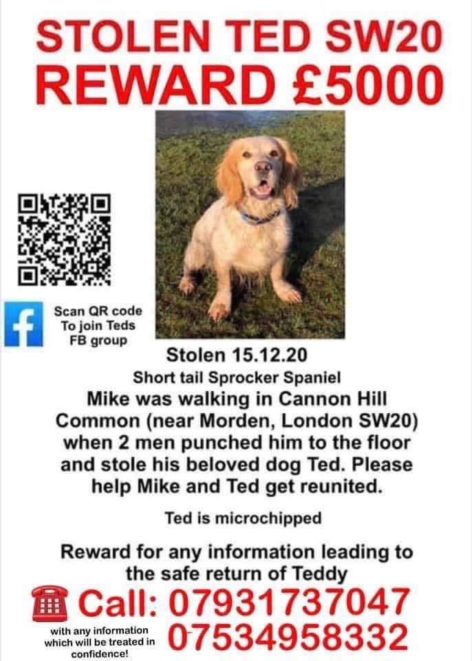 Please keep sharing

TED WAS TAKEN WHEN HIS ELDERLY OWNER WAS THROWN TO GROUND ON A WALK 15/12/20 
Brave men 😡

A HUGE REWARD HAS BEEN OFFERED 
SOMEONE OUT THERE SURELY WOULD SNITCH ON THE THIEVES 🤔

Still looking 👀 
Still hoping 🤞
NEVER GIVING UP