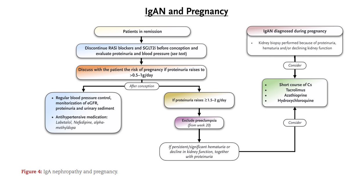 NDT (@ndtsocial) on Twitter photo Tailored management strategies for IgA nephropathy based on clinical presentations
🆓doi.org/10.1093/ndt/gf…
This Review proposes therapeutic algorithms to guide treatment decisions in different clinical scenarios while highlighting gaps in current research Tailored management strategies for IgA nephropathy based on clinical presentations
🆓doi.org/10.1093/ndt/gf…
This Review proposes therapeutic algorithms to guide treatment decisions in different clinical scenarios while highlighting gaps in current research