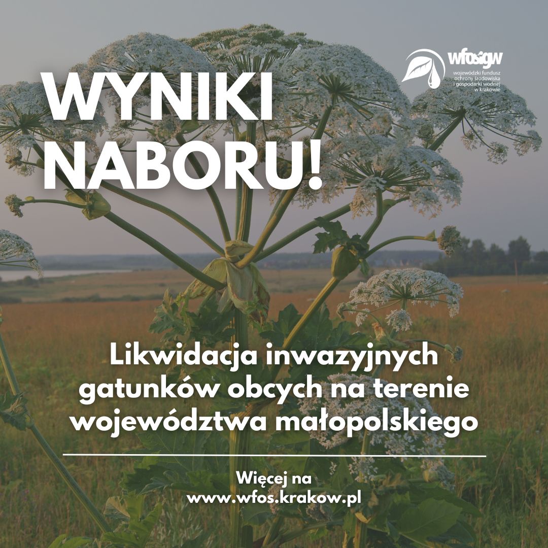 📣 Wyniki naboru wniosków – Program „Likwidacja inwazyjnych gatunków obcych na terenie województwa małopolskiego”📣⬇️

Szczegóły ➡️ bit.ly/4iOafmk