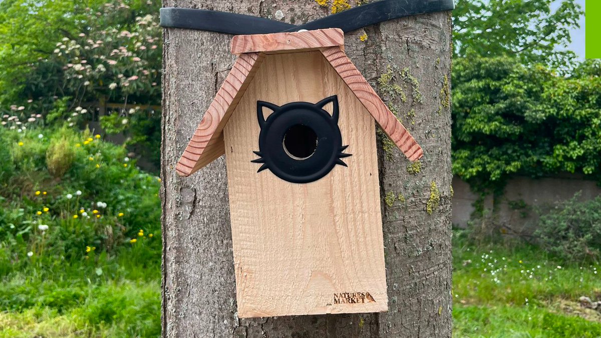 📰 [Communiqué de #presse] À Mondeville, nous posons le 1er nichoir des « Jardins de l’Envol », un ensemble de 79 logements qui se distingue par ses engagements forts en faveur de la biodiversité locale. 

+ d’infos : bouygues-immobilier-corporate.com/newsroom/monde…