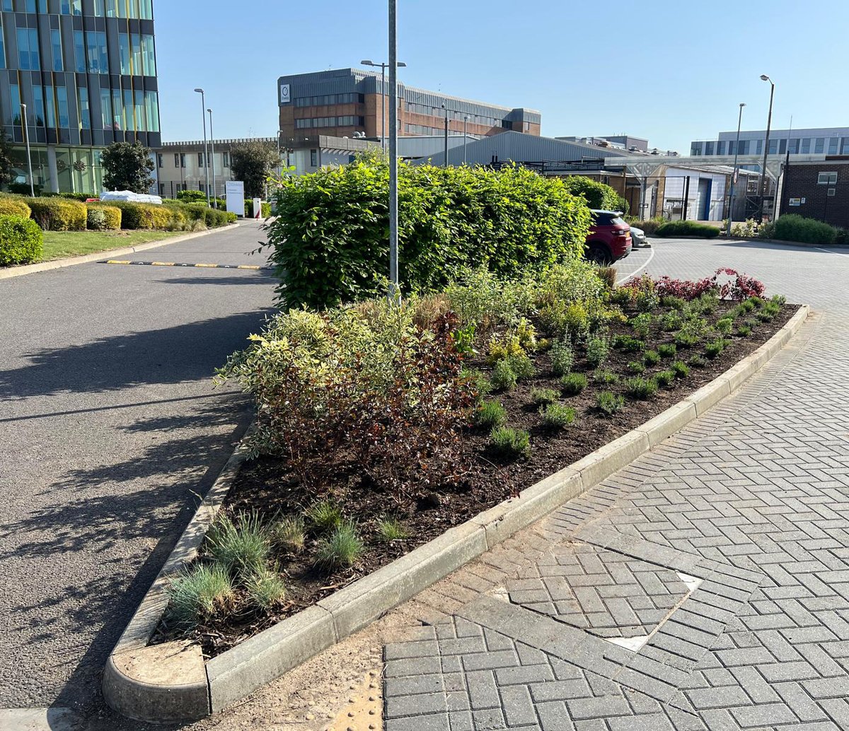 One of our maintenance teams has been busy over the last week carrying out a full shrub bed refurbishment at <a href="/Elekta/">Elekta</a>, working with <a href="/CBRE_UK/">CBRE UK</a> 

The work included replenishing the soil with green organic compost to support water retention, and replanting with over 650 new shrubs.
