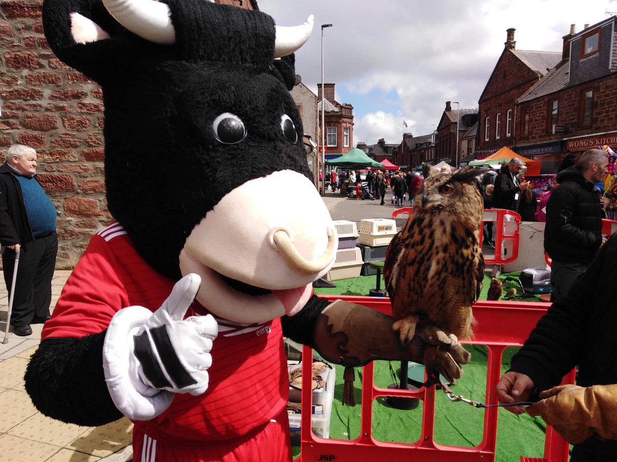 RD____19's tweet photo. 2019 mascot throwback the Turrif Show… #turrif #Aberdeenshire #Scotland #Mascot #Angusthebull https://t.co/p28wtLTPR8