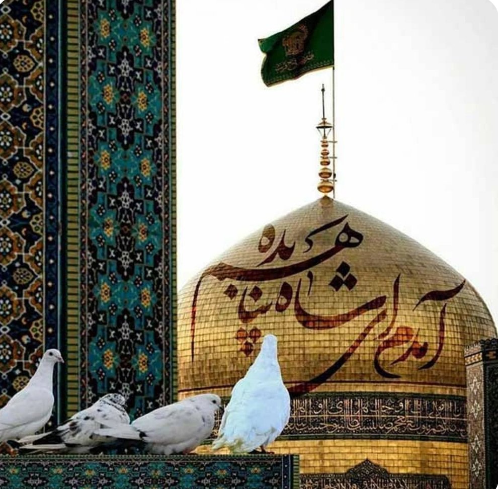 یا امام رضا

واحد گمشدگان حرمت بیکار است

گم شدن در حرم تو خود پیدا شدن است
#ایران_امام_رضا
#قلب_هشتم