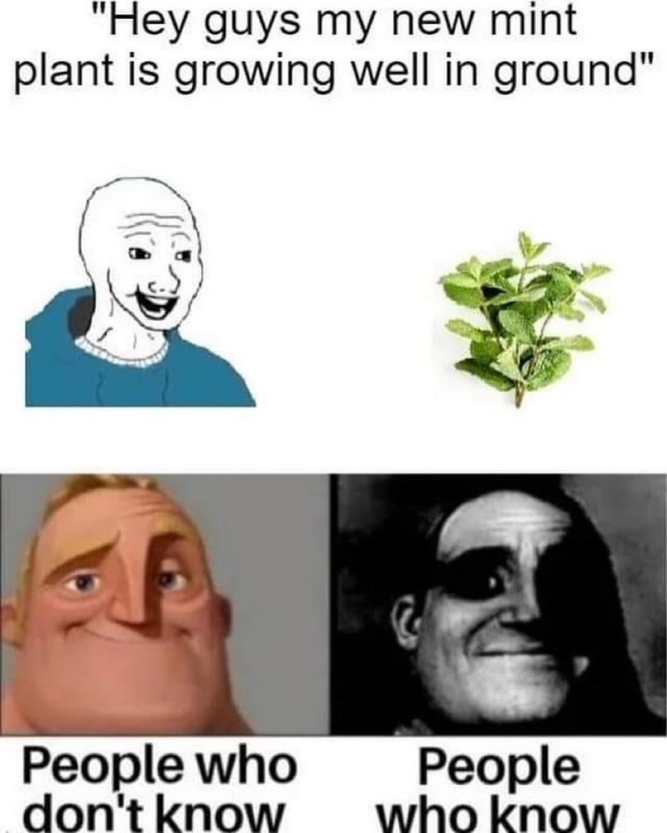 Science girl (@gunsnrosesgirl3) on Twitter photo 