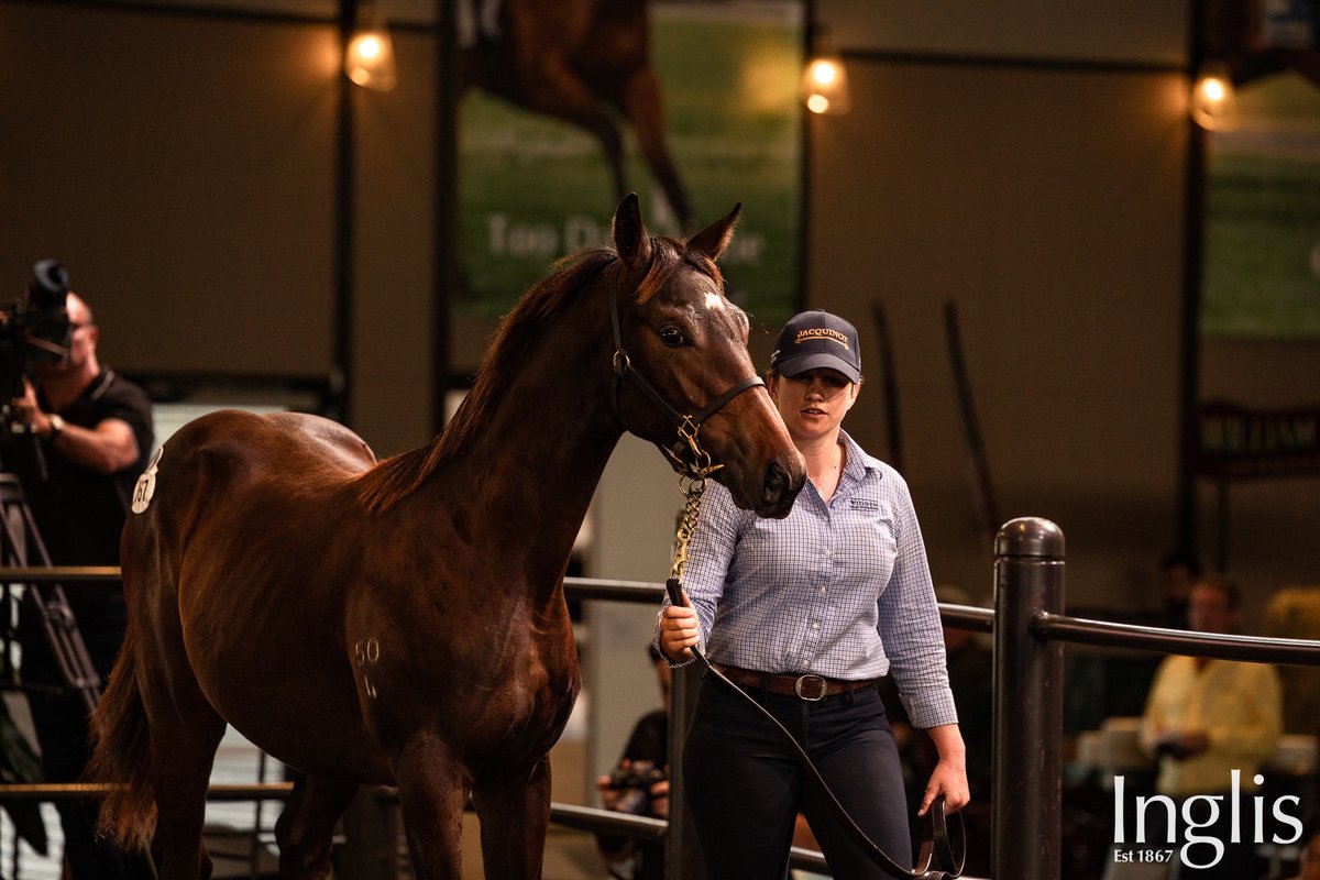 TTR AusNZ (@ttrausnz) on Twitter photo Thatโs a wrap on the 2025 <a href="/inglis_sales/">Inglis</a> Weanling Sale! Check out the stats ๐
๐ค Gross: $19.23M, 358 sold ('24 $16.28M, 304 sold)
โ๏ธ Average: $53.72K (โ24 $53.6K)
๐ค Median: $30K (โ24 $30K)
๐ Clearance Rate: 77% (โ24 82%)
โ๏ธ Top Lot: $775k (Lot 367 - Too Darn Hot x Enbihaar) - Thatโs a wrap on the 2025 <a href="/inglis_sales/">Inglis</a> Weanling Sale! Check out the stats ๐
๐ค Gross: $19.23M, 358 sold ('24 $16.28M, 304 sold)
โ๏ธ Average: $53.72K (โ24 $53.6K)
๐ค Median: $30K (โ24 $30K)
๐ Clearance Rate: 77% (โ24 82%)
โ๏ธ Top Lot: $775k (Lot 367 - Too Darn Hot x Enbihaar) -