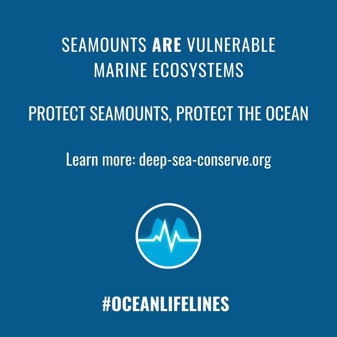 Deep Sea Conservation Coalition (@deepseaconserve) on Twitter photo Across the world, our governments have committed to protect ocean health. Now they must act.
Ending commercial #BottomTrawling trawling on #Seamounts is achievable, urgent—and long overdue.
Let’s stop destroying #DeepSea for short-term gain.
deep-sea-conservation.org/solutions/prot… Across the world, our governments have committed to protect ocean health. Now they must act.
Ending commercial #BottomTrawling trawling on #Seamounts is achievable, urgent—and long overdue.
Let’s stop destroying #DeepSea for short-term gain.
deep-sea-conservation.org/solutions/prot…
