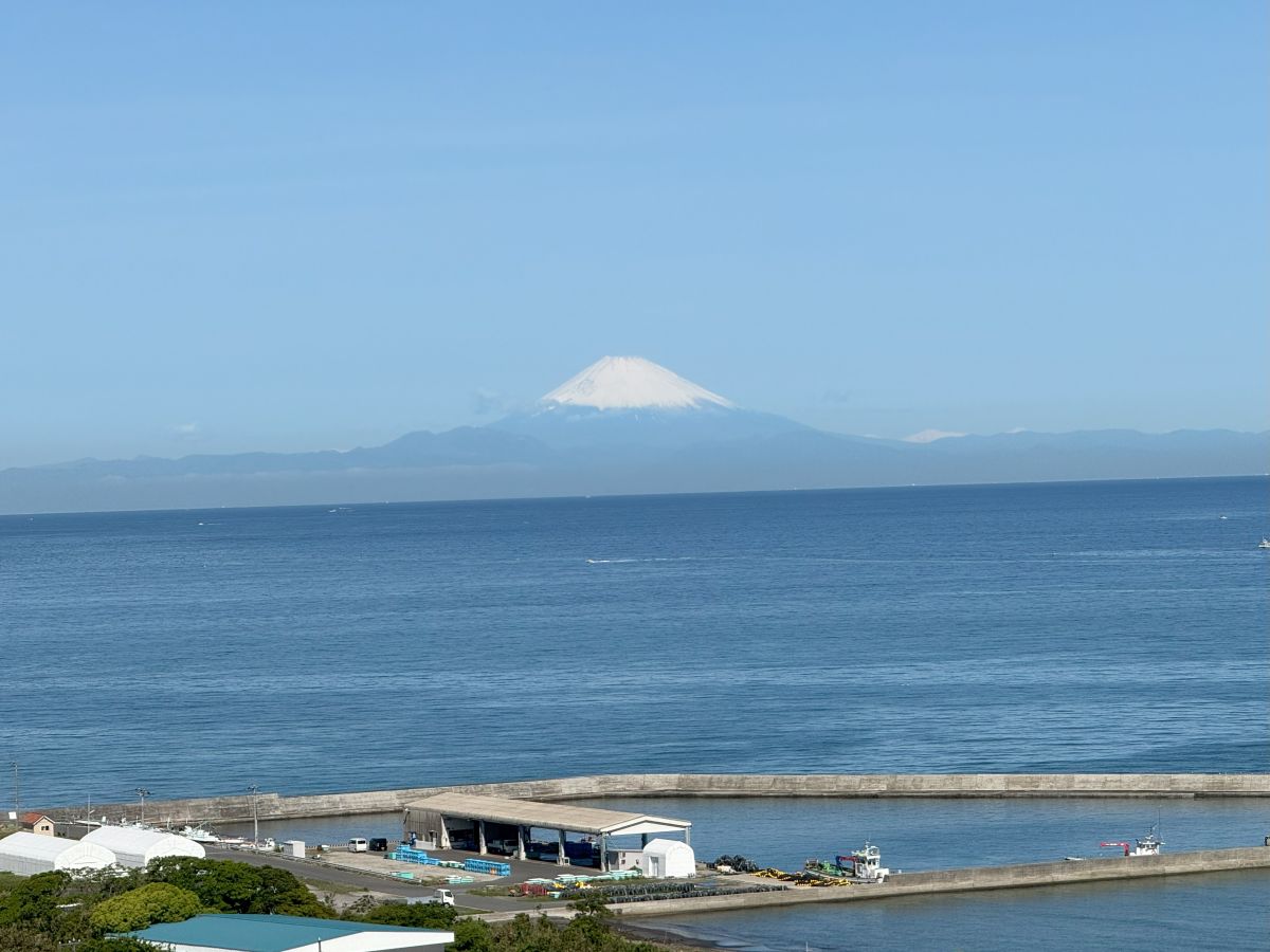 館山一泊旅行 
ゴールデンウィークの休みを利用して大多喜城と館山へ。
大雨だったし、人がすごかったけどなかなか楽しめました。
#館山 #大多喜城 #続日本100名城
kaiteoku.com/tateyama2days2…