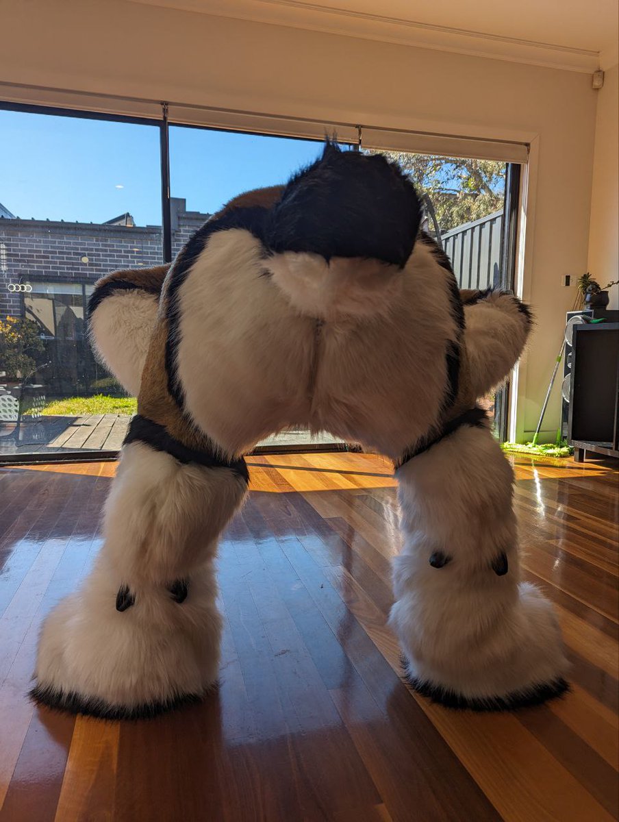 RadicalBou's tweet image. FIND ME AT FWA

✅ BLEAT
❌ NO BLEAT