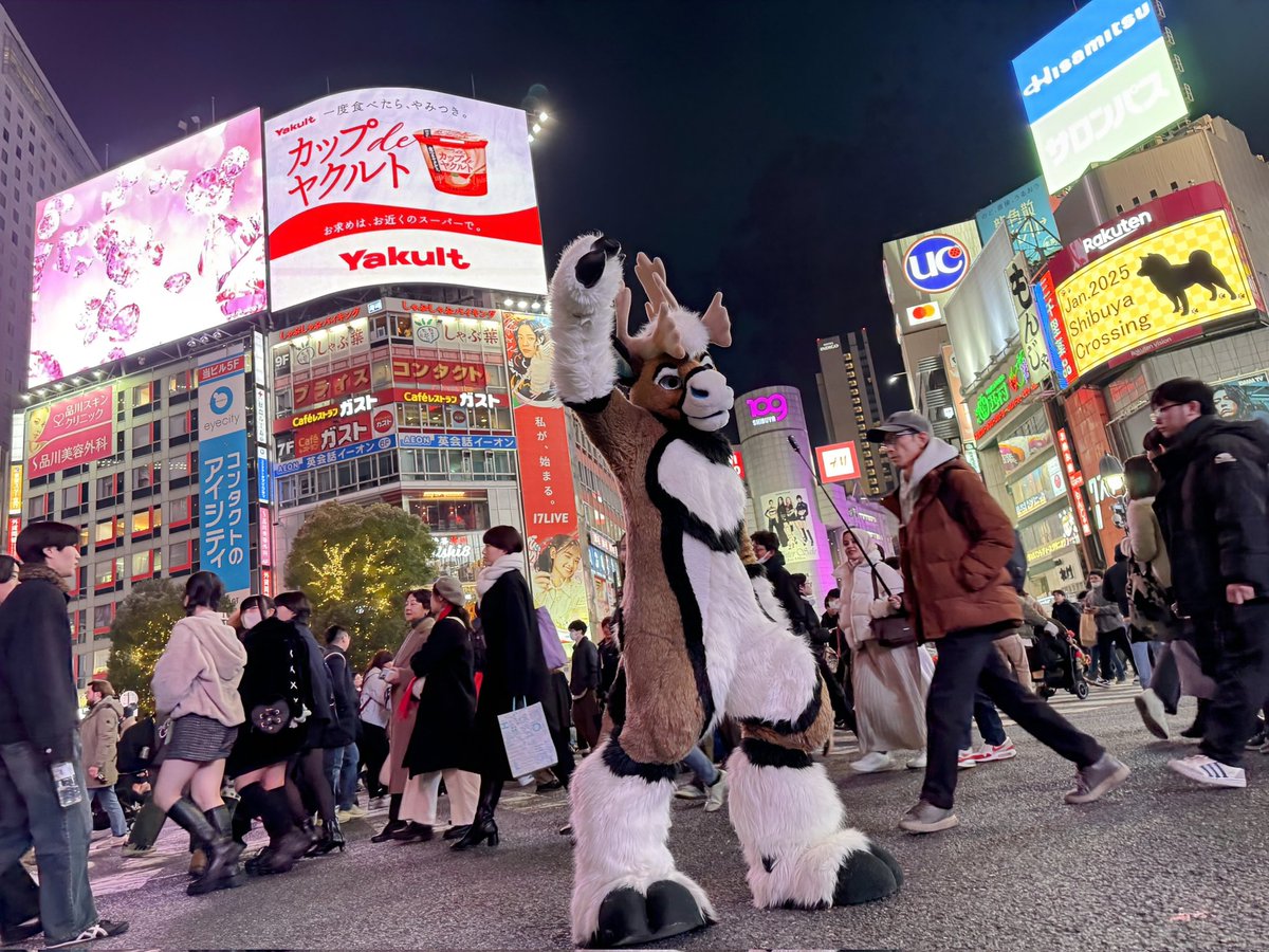 RadicalBou's tweet image. FIND ME AT FWA

✅ BLEAT
❌ NO BLEAT