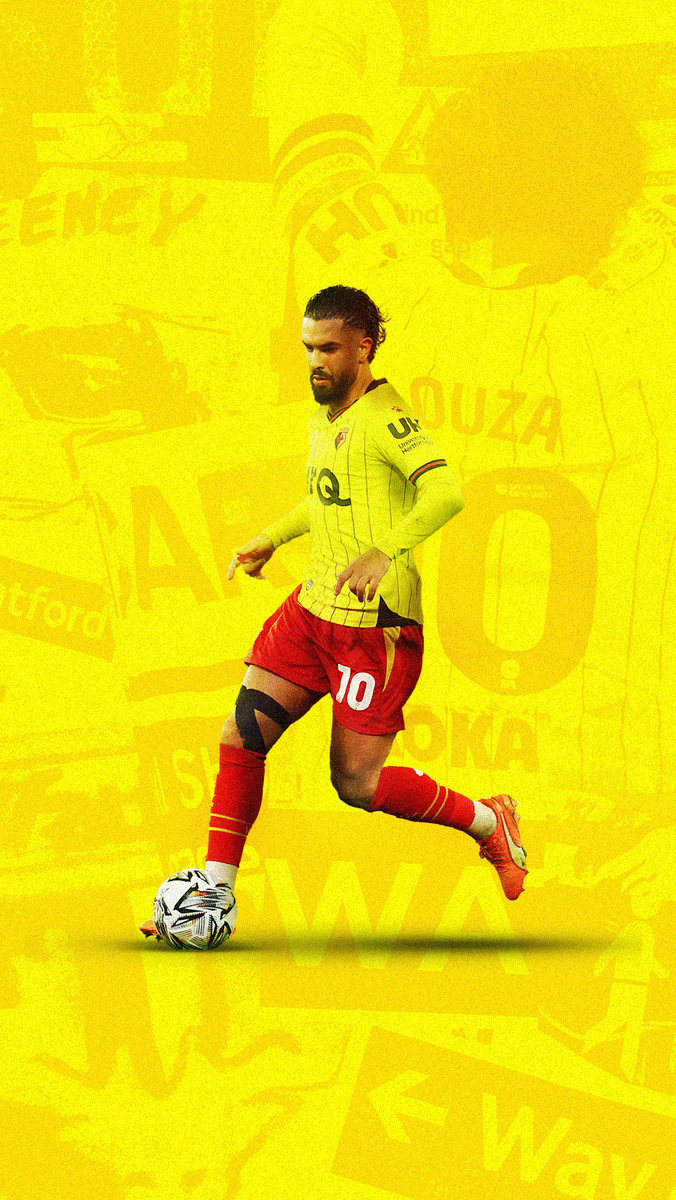 Mikey Chapman tweet media