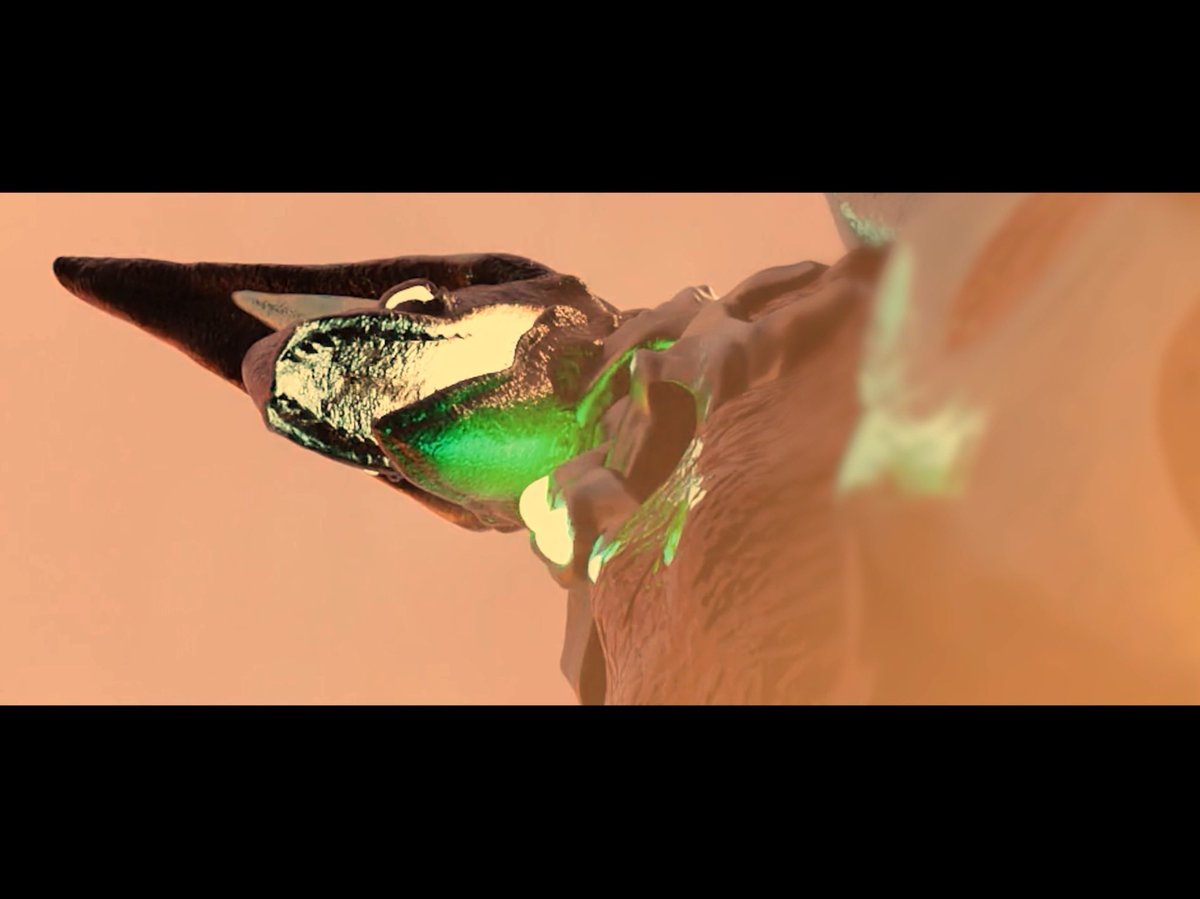 ブルマァク※テストショット　◆アンギラス◆　ゴジラシリーズ　円谷英二　東宝 ブルマァク※テストショット ◇アンギラス◇ ゴジラシリーズ 円谷英二