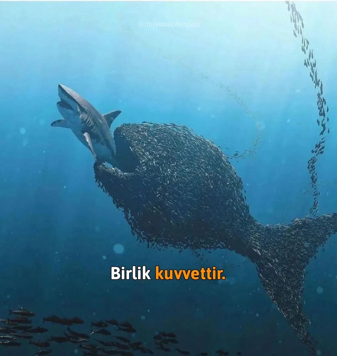 Kürtler için birlik vazgeçilmezdir orta doğunun bu kargaşasında Kürtlerin statüsünün  ne olacağı merak konusuyken olumlu yönde gelişmeler olmaya devam ediyor