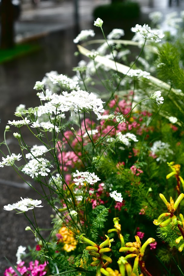 雨のあとも、世界はやさしくあってほしい。
